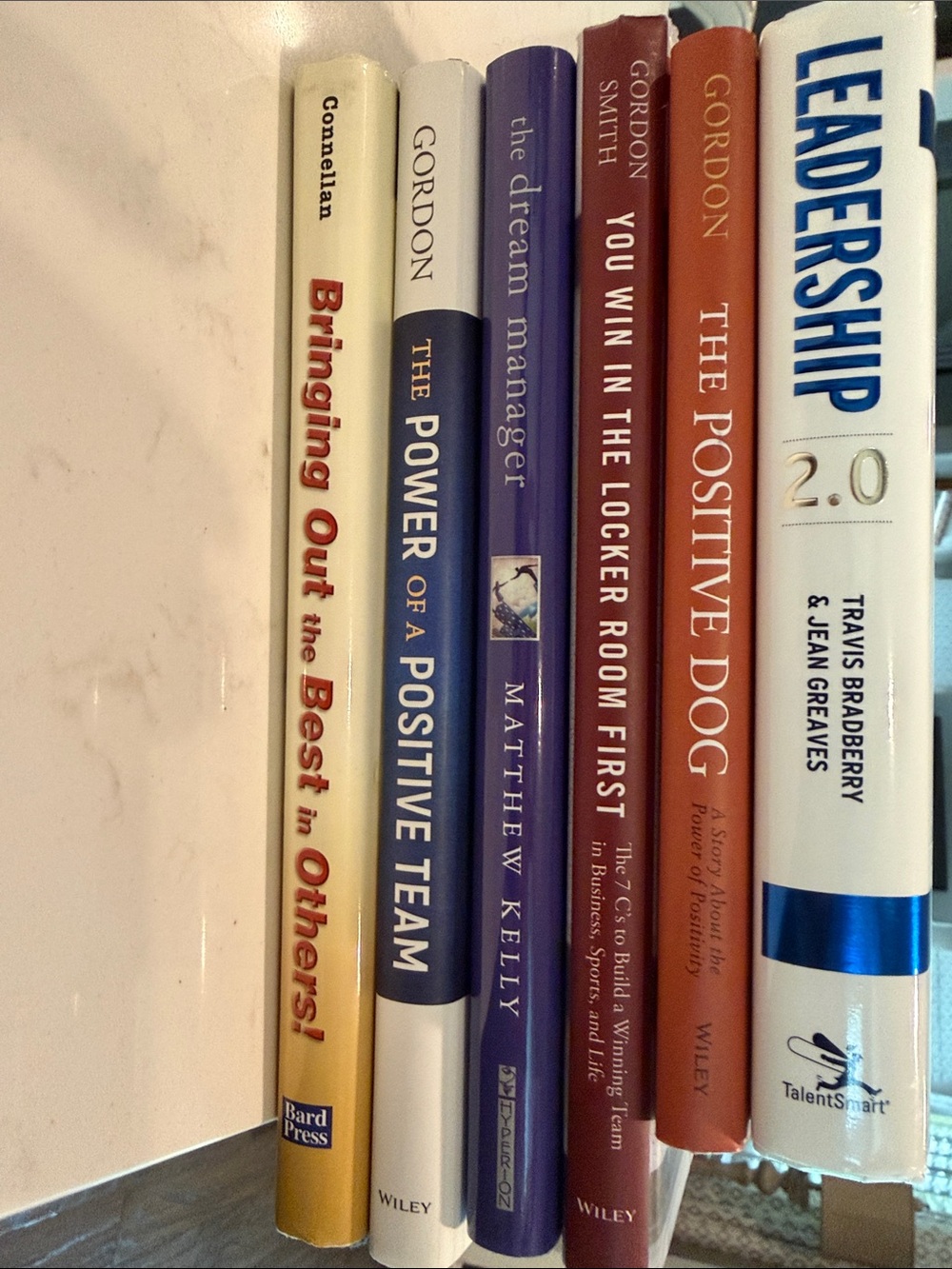 Six assorted leadership focused books. Three by Jon Gordon.